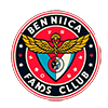 Benfica fans blog